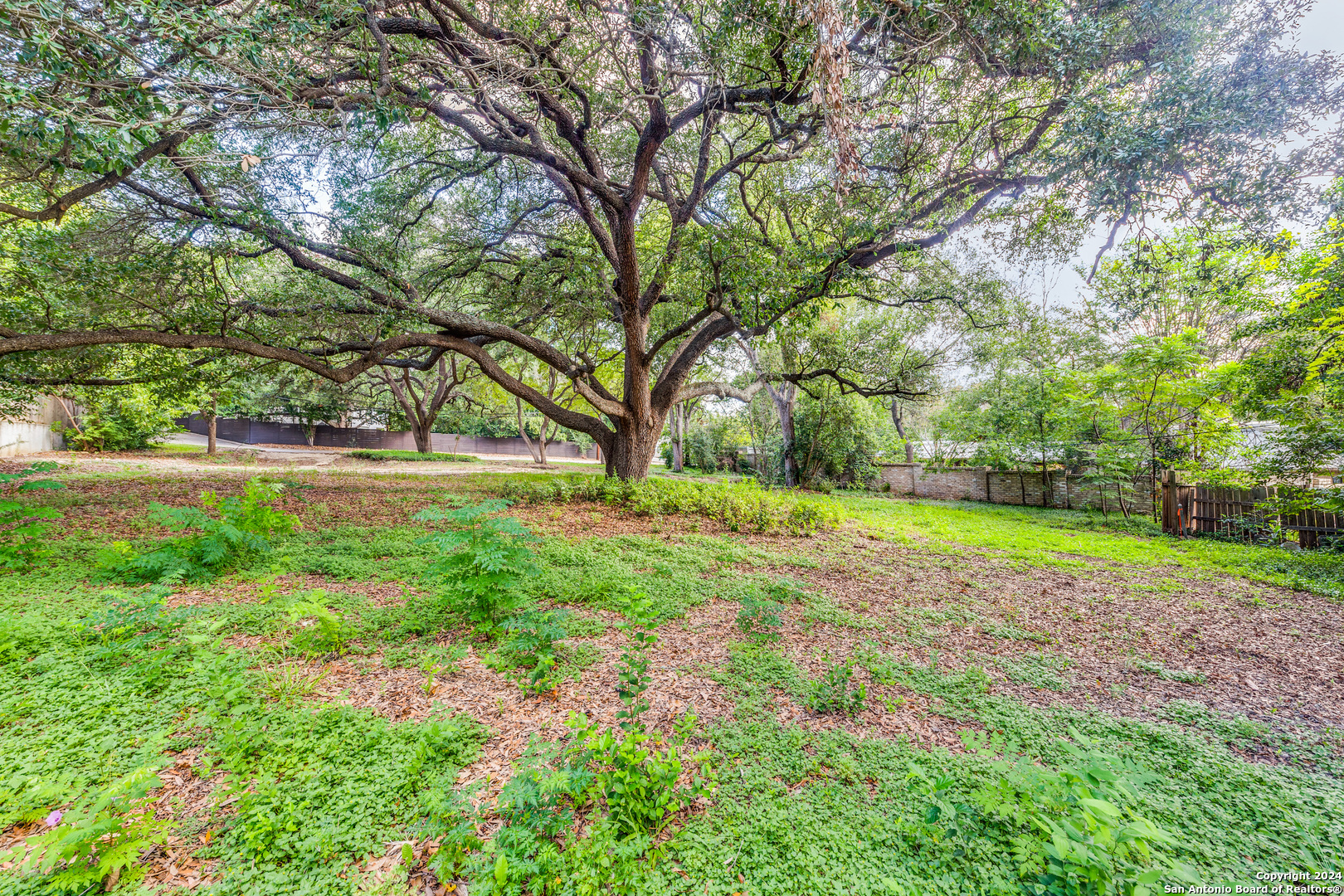 122 Bartlett Place Terrell Hills TX 78209
