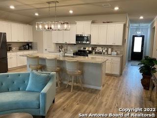 31749 Untrodden Way Bulverde TX 78163
