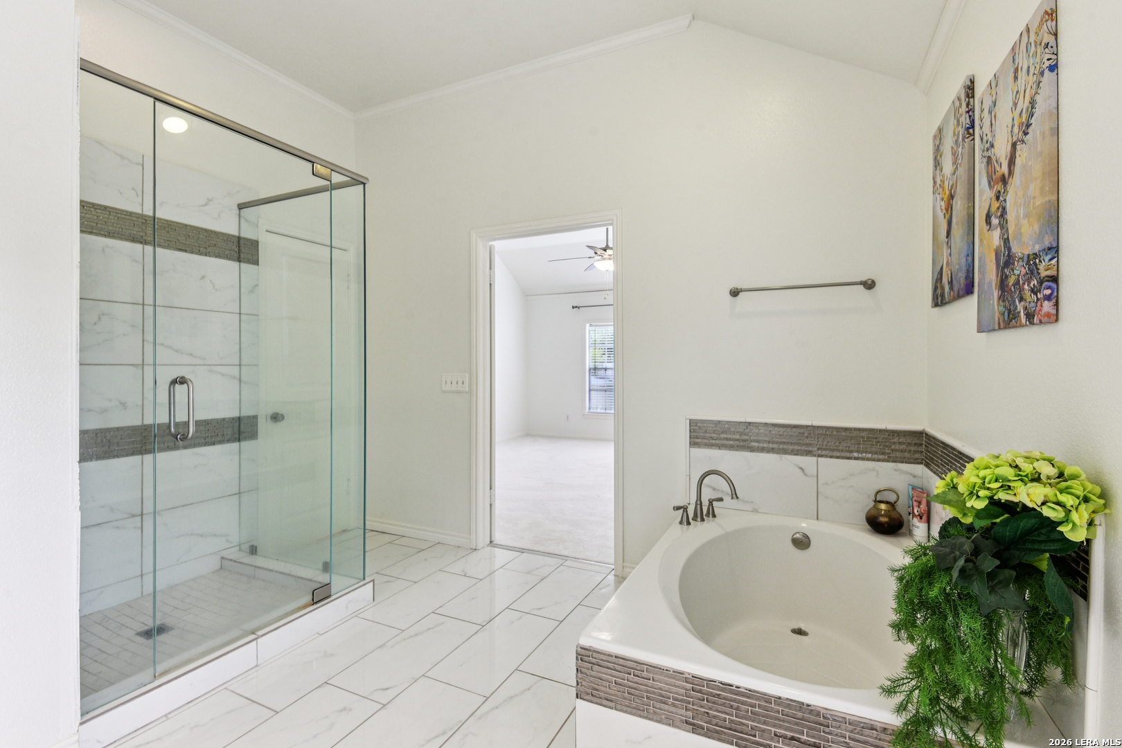 2423 Brighton Oaks San Antonio TX 78231