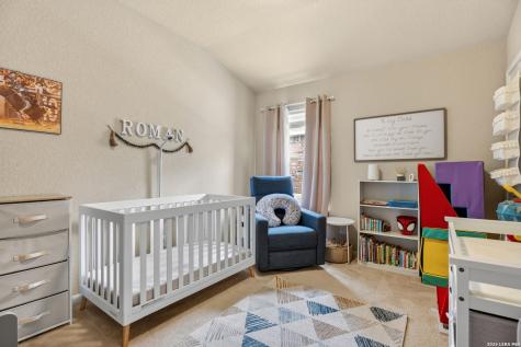 25631 Spirea San Antonio TX 78261