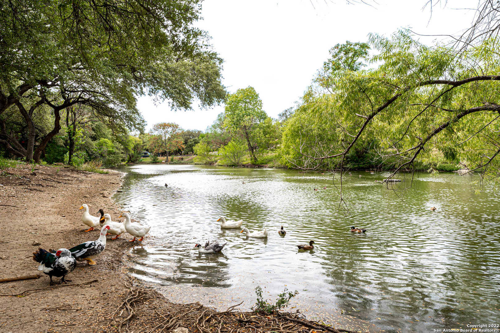 11608 Caprock Street San Antonio TX 78230