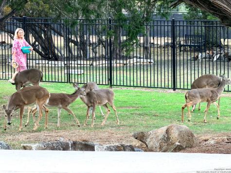 10811 Zedernholz Run New Braunfels TX 78132