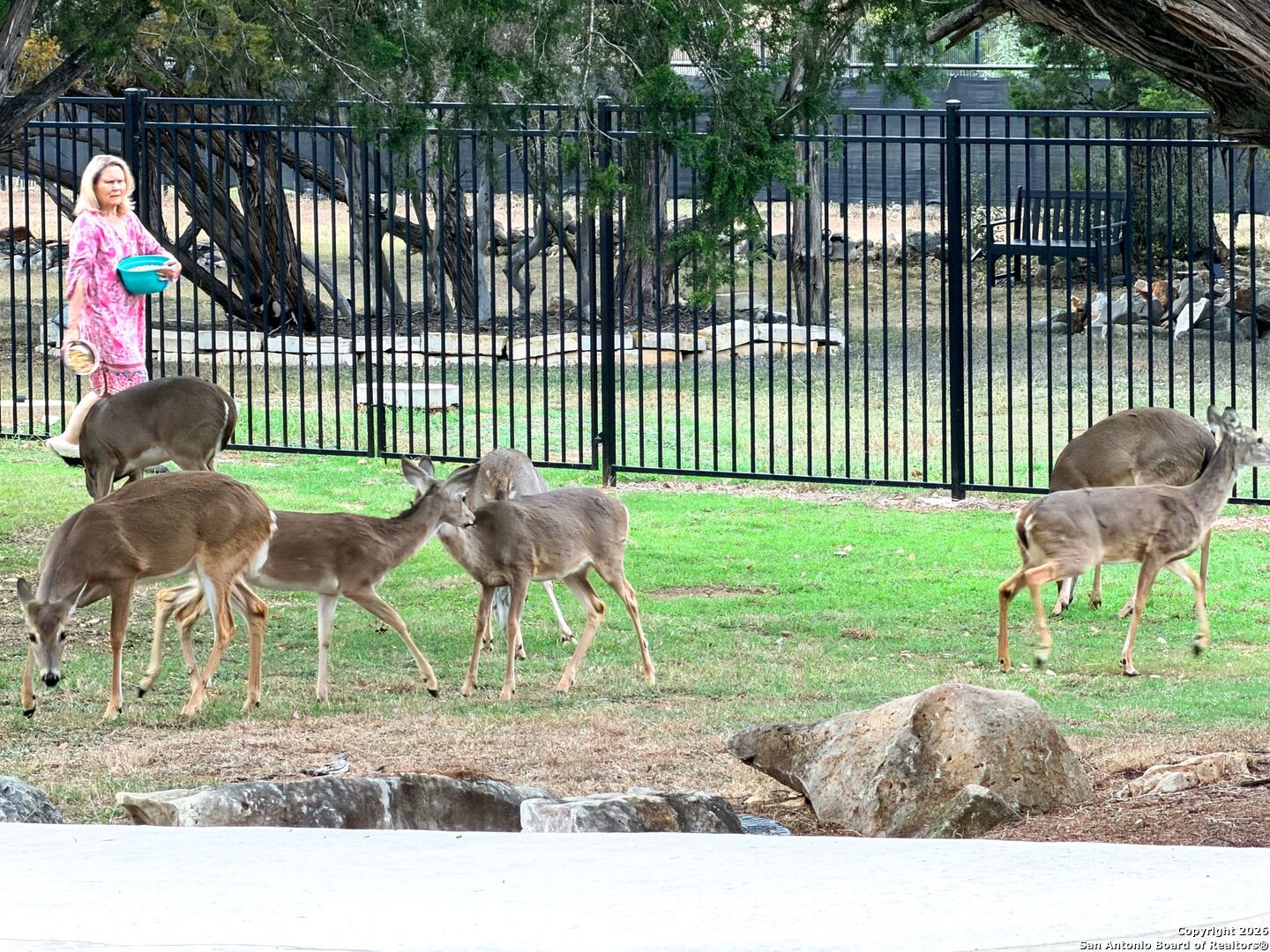 10811 Zedernholz Run New Braunfels TX 78132