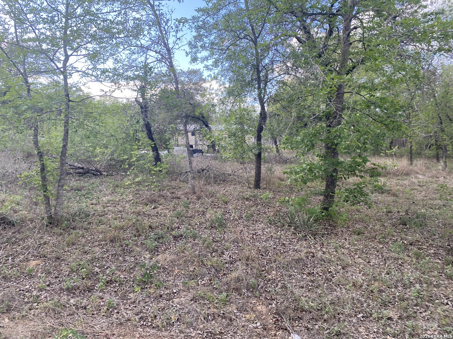 1823 Comal Cove San Antonio TX 78264