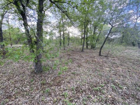 1823 Comal Cove San Antonio TX 78264