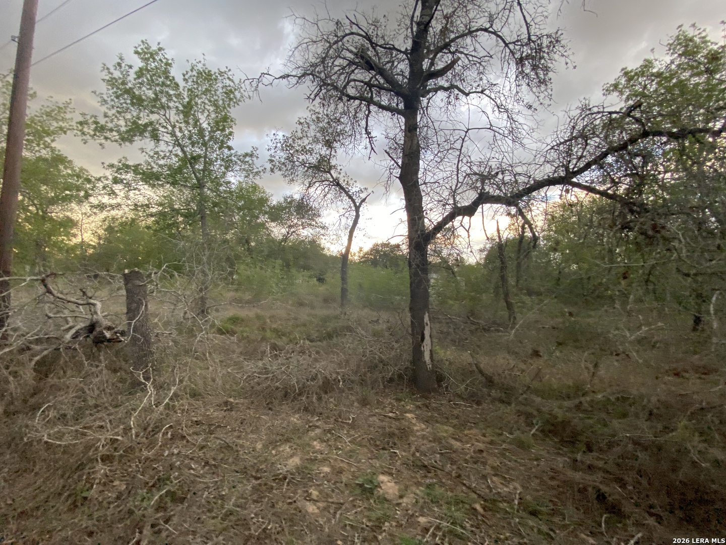 1823 Comal Cove San Antonio TX 78264