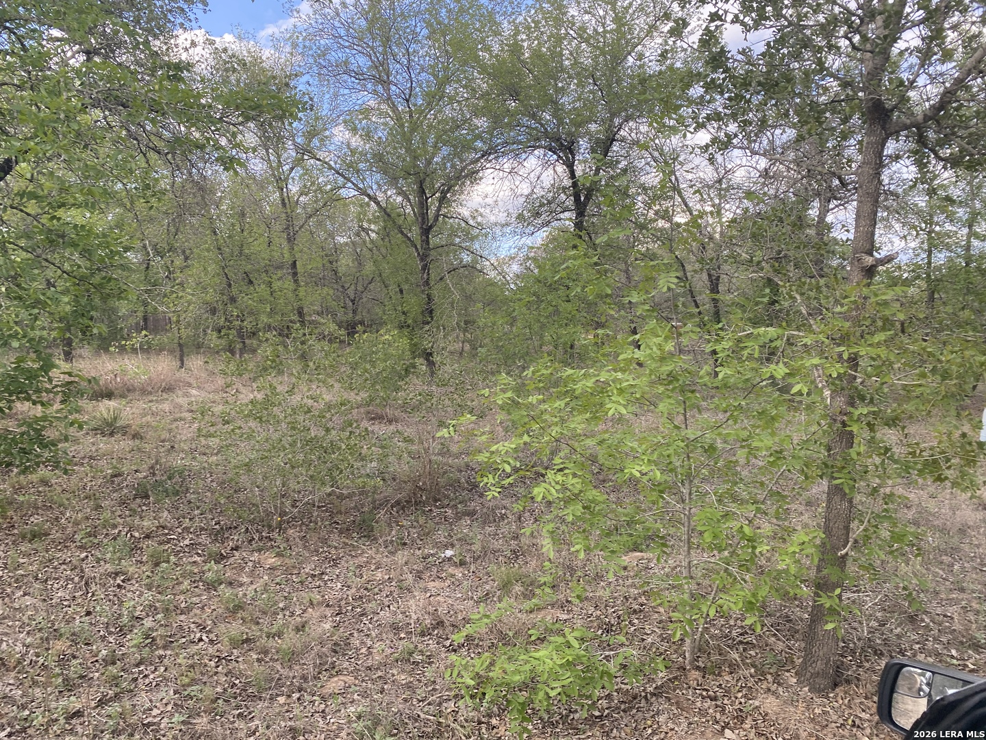 1823 Comal Cove San Antonio TX 78264
