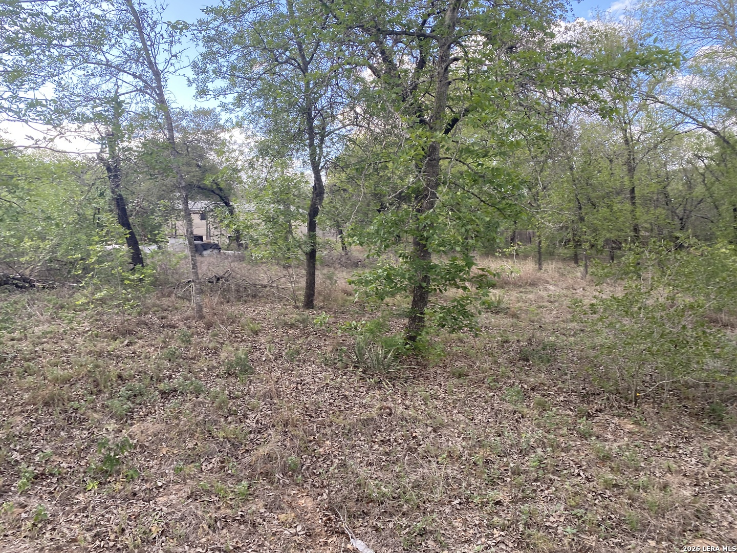 1823 Comal Cove San Antonio TX 78264