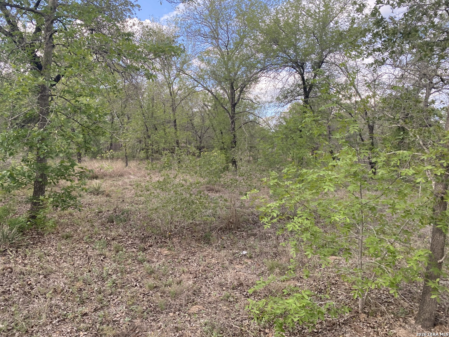 1823 Comal Cove San Antonio TX 78264