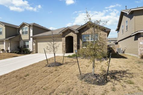 915 House Sparrow San Antonio TX 78253
