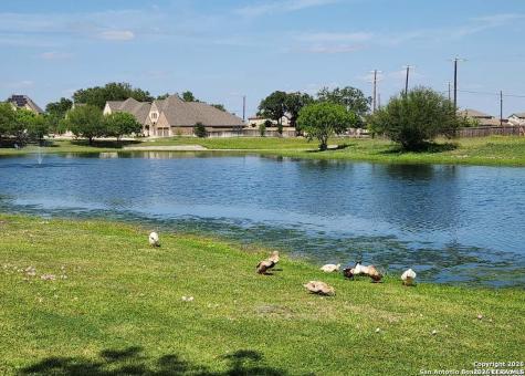 14411 High Plains Drive San Antonio TX 78254