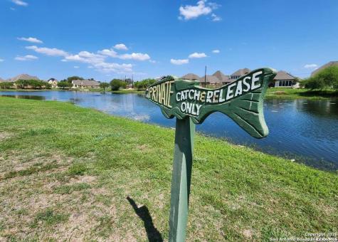 14411 High Plains Drive San Antonio TX 78254
