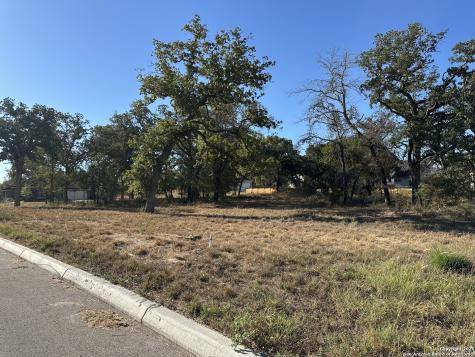124 Chinaberry La Vernia TX 78121