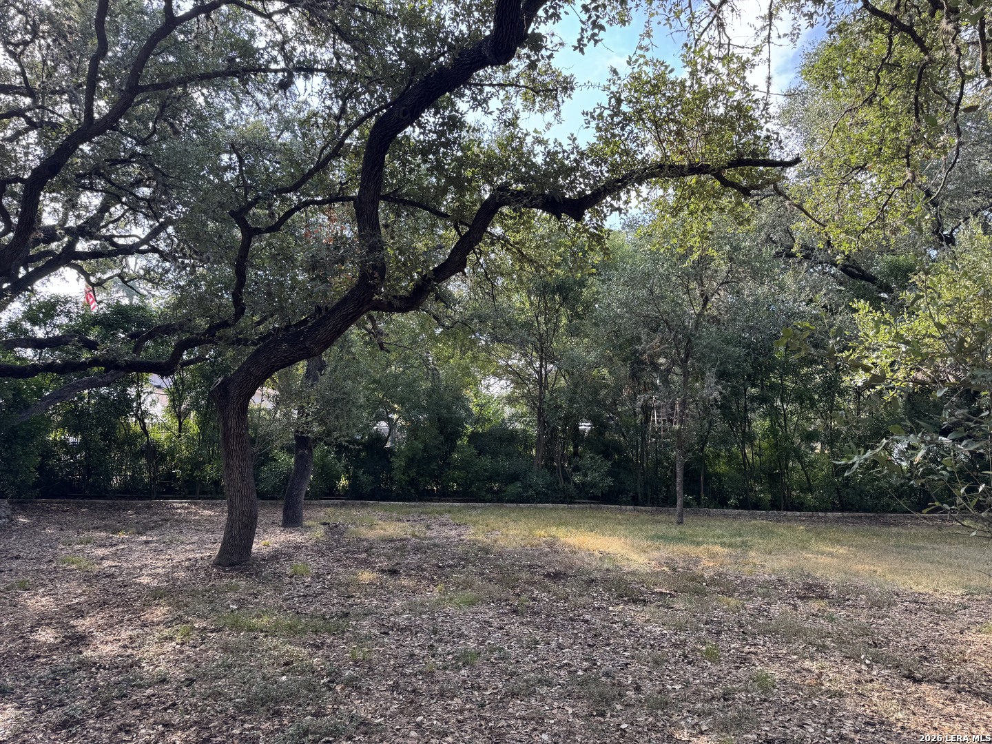20325 Grass Creek Road Garden Ridge TX 78266