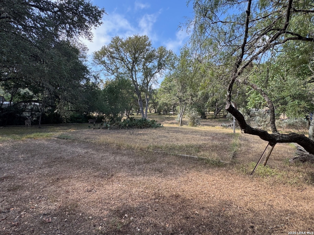 20325 Grass Creek Road Garden Ridge TX 78266
