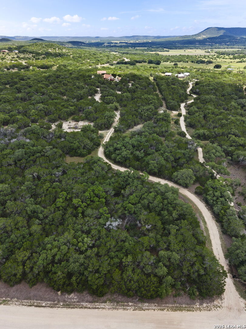 573 Hondo Oaks Drive Tarpley TX 78883