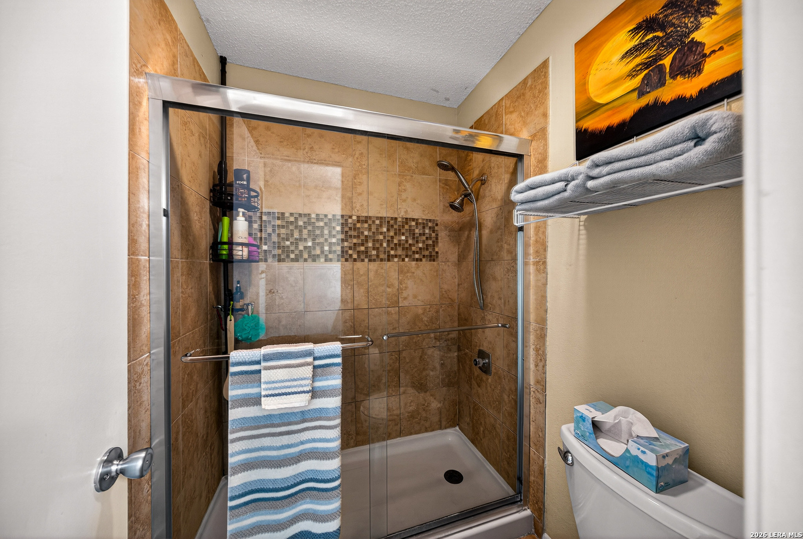 8722 Thatch San Antonio TX 78240