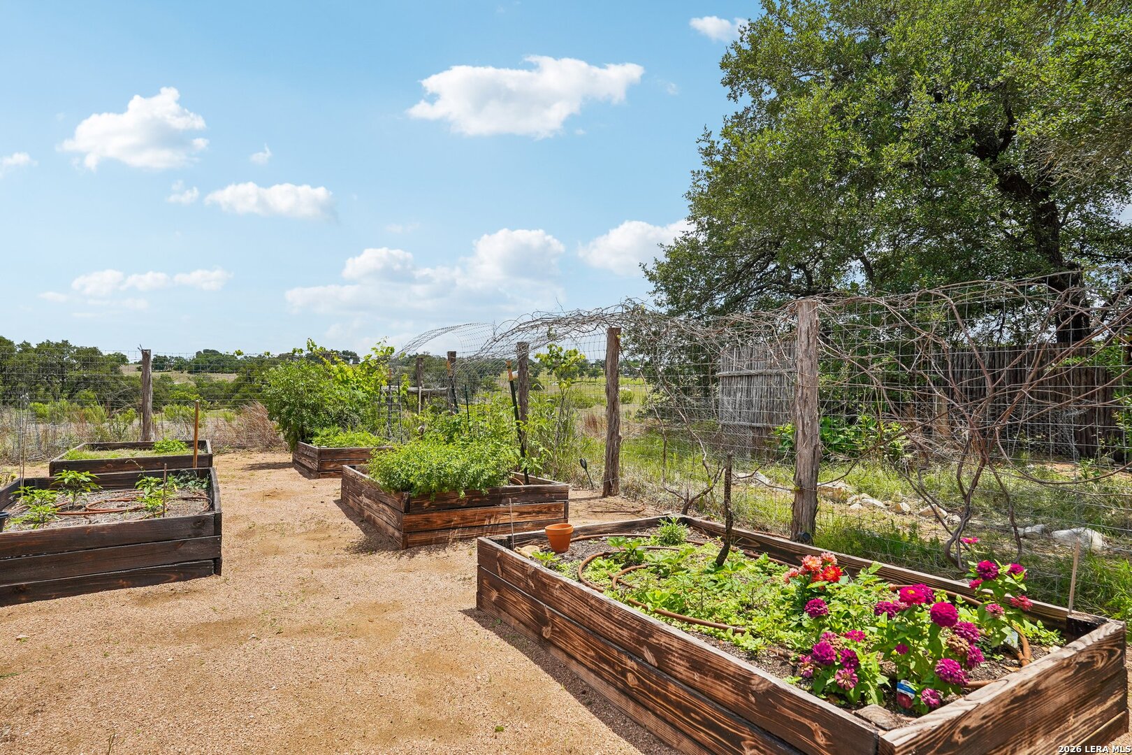 162 Flowering Sage Lane Fredericksburg TX 78624