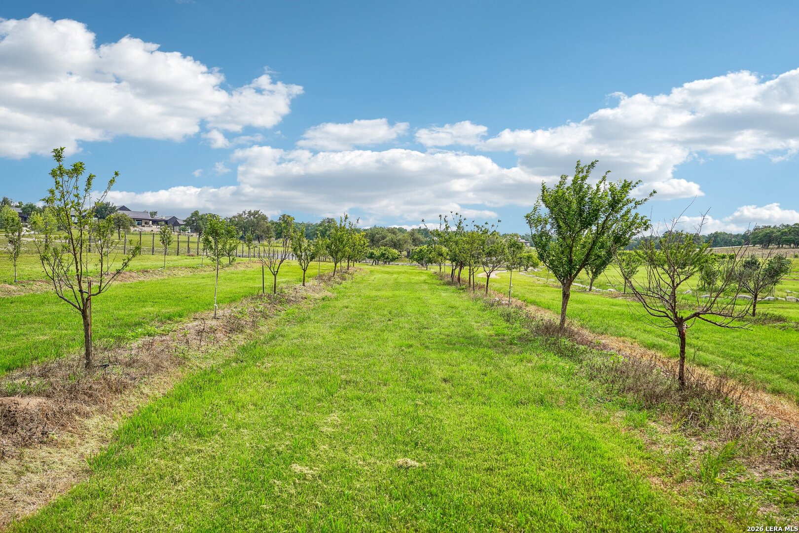 162 Flowering Sage Lane Fredericksburg TX 78624