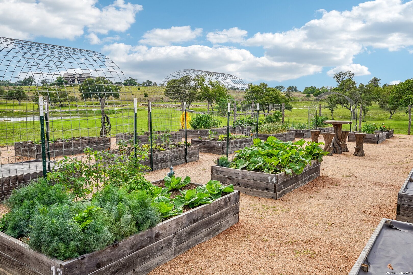 162 Flowering Sage Lane Fredericksburg TX 78624