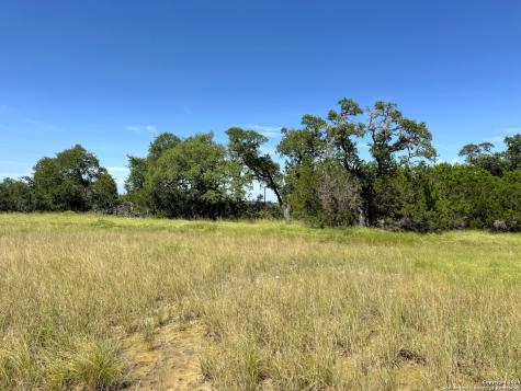 311 Toucan Spring Branch TX 78070