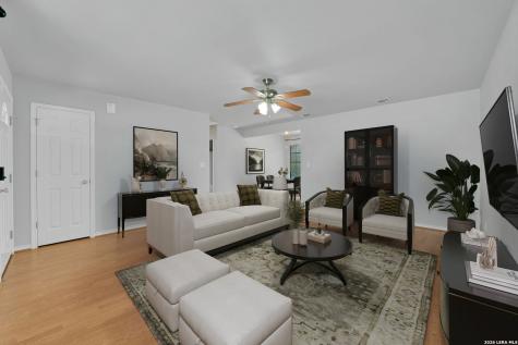157 Dandelion Trail San Marcos TX 78666