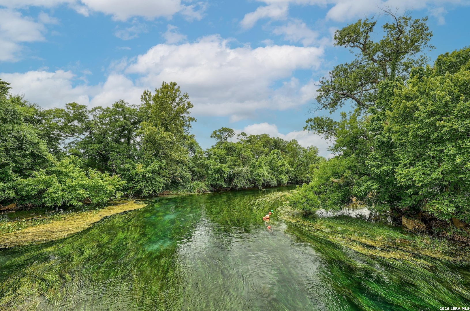 111 Clydesdale San Marcos TX 78666
