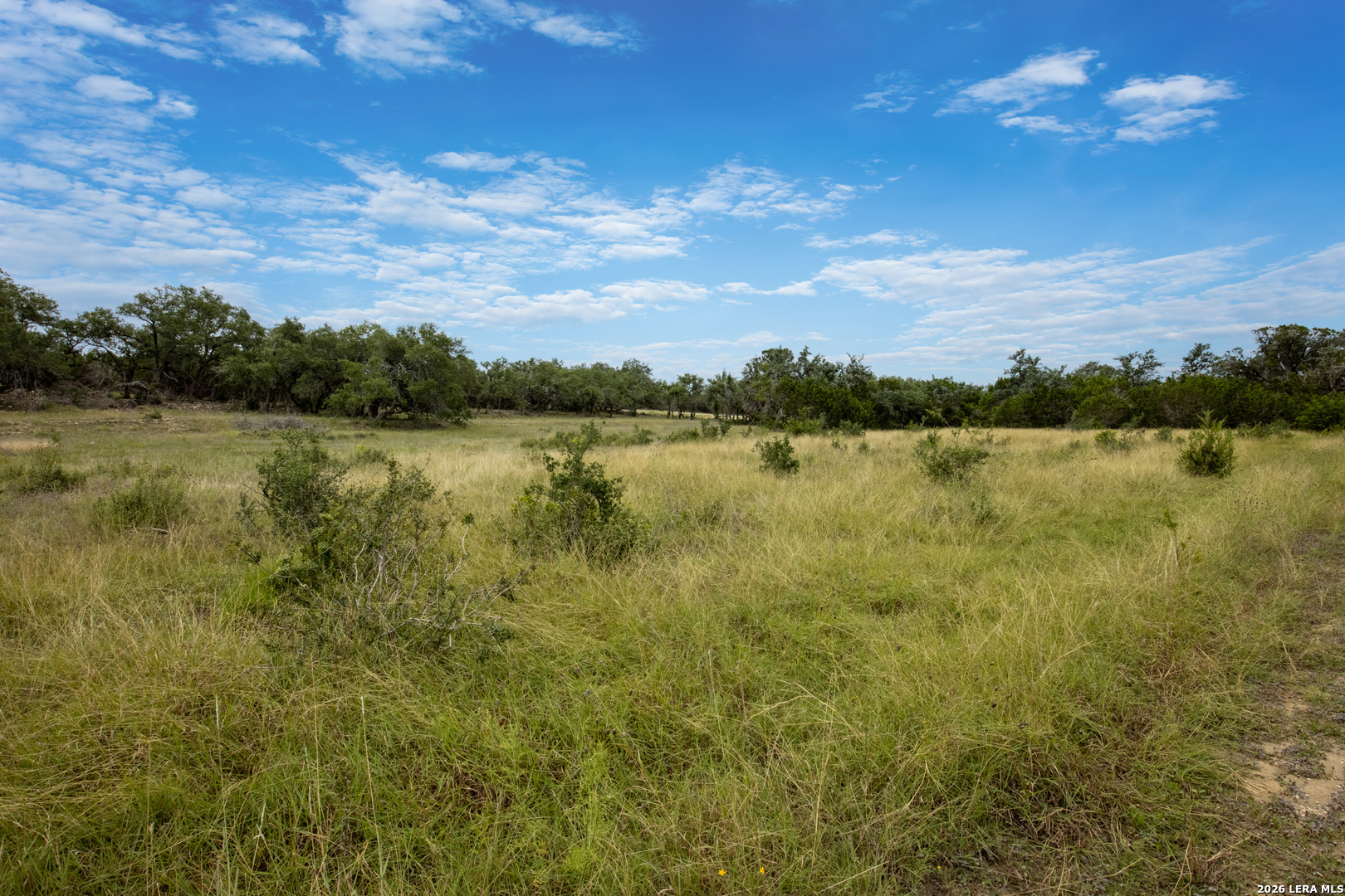 664 Travis Forest Drive Bulverde TX 78163