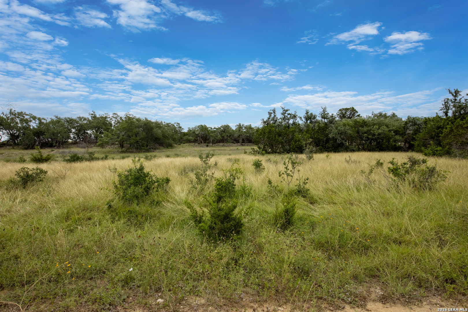664 Travis Forest Drive Bulverde TX 78163
