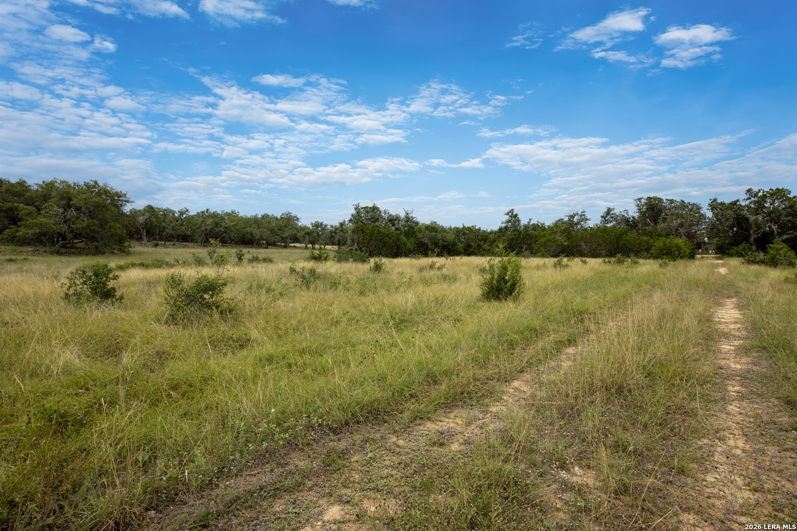 664 Travis Forest Drive Bulverde TX 78163