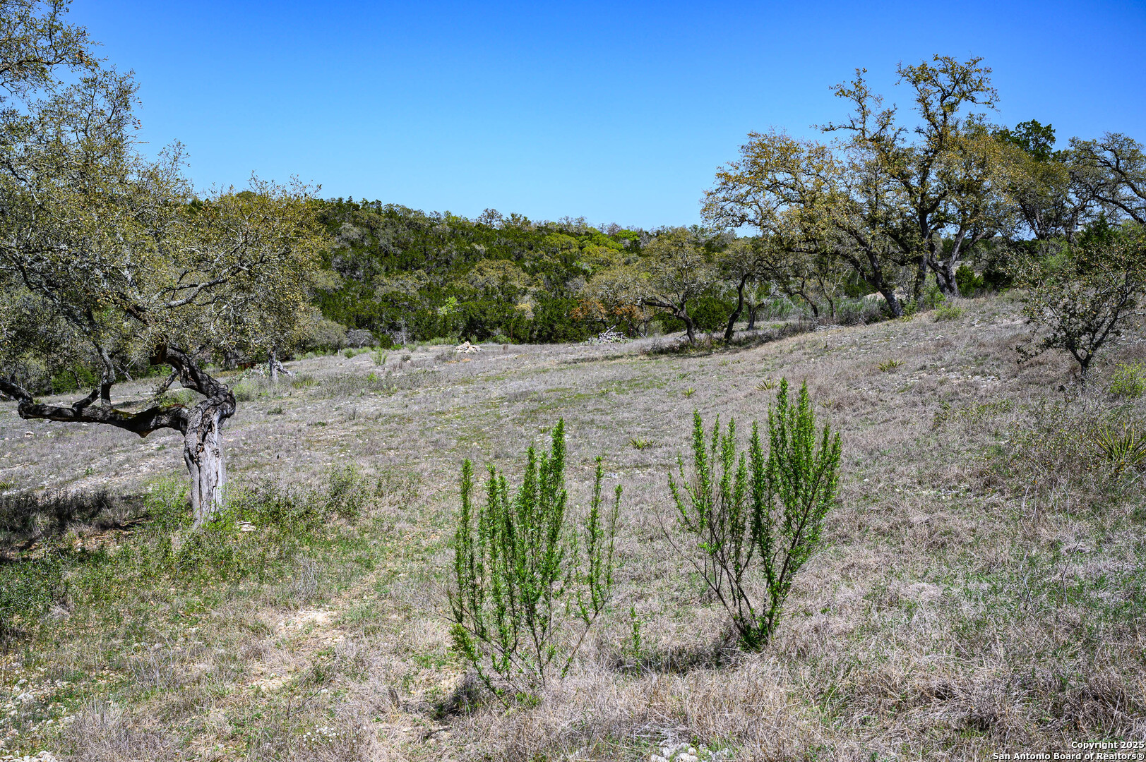 5922 Colin Ridge New Braunfels TX 78132