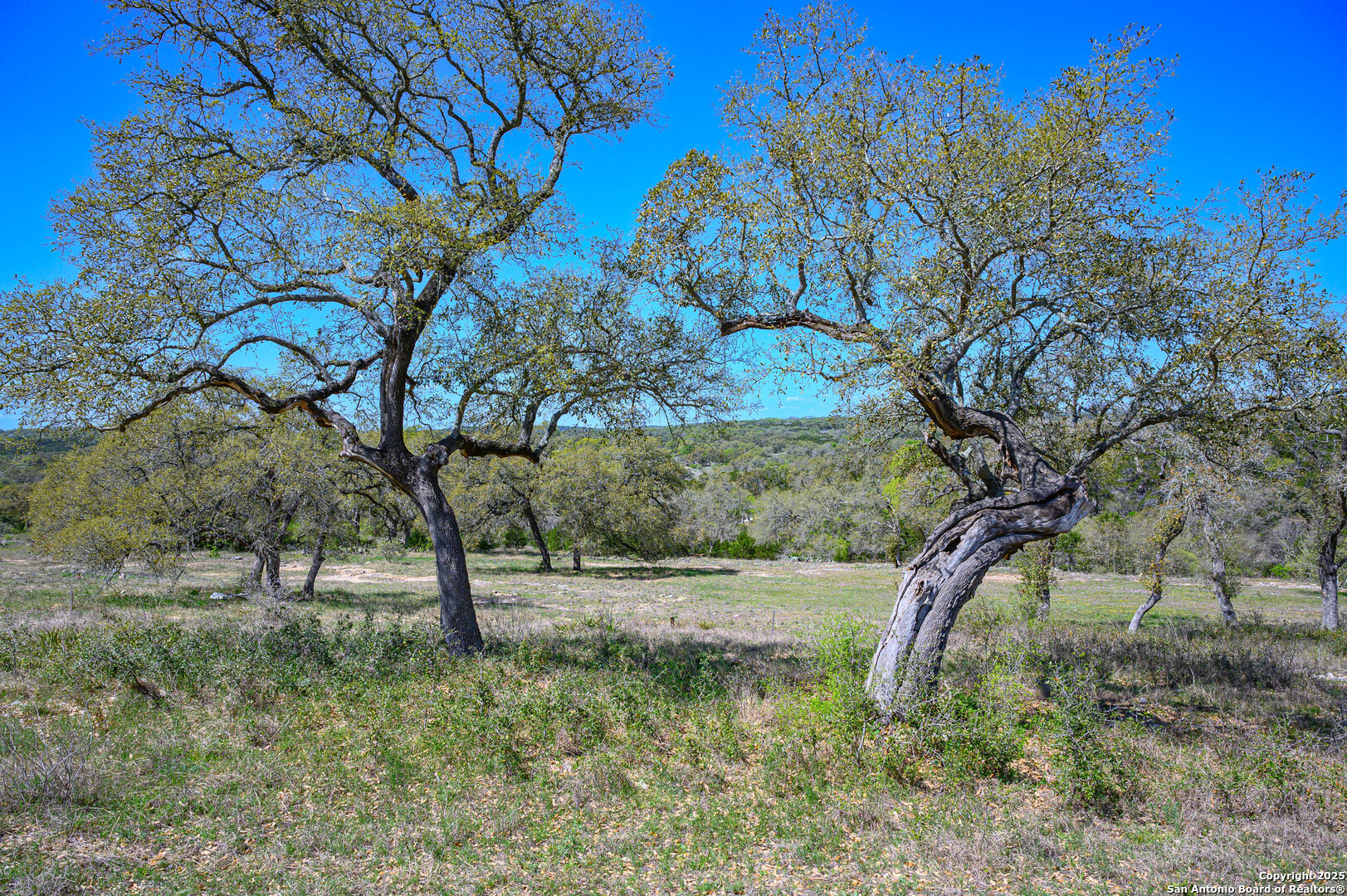 5922 Colin Ridge New Braunfels TX 78132