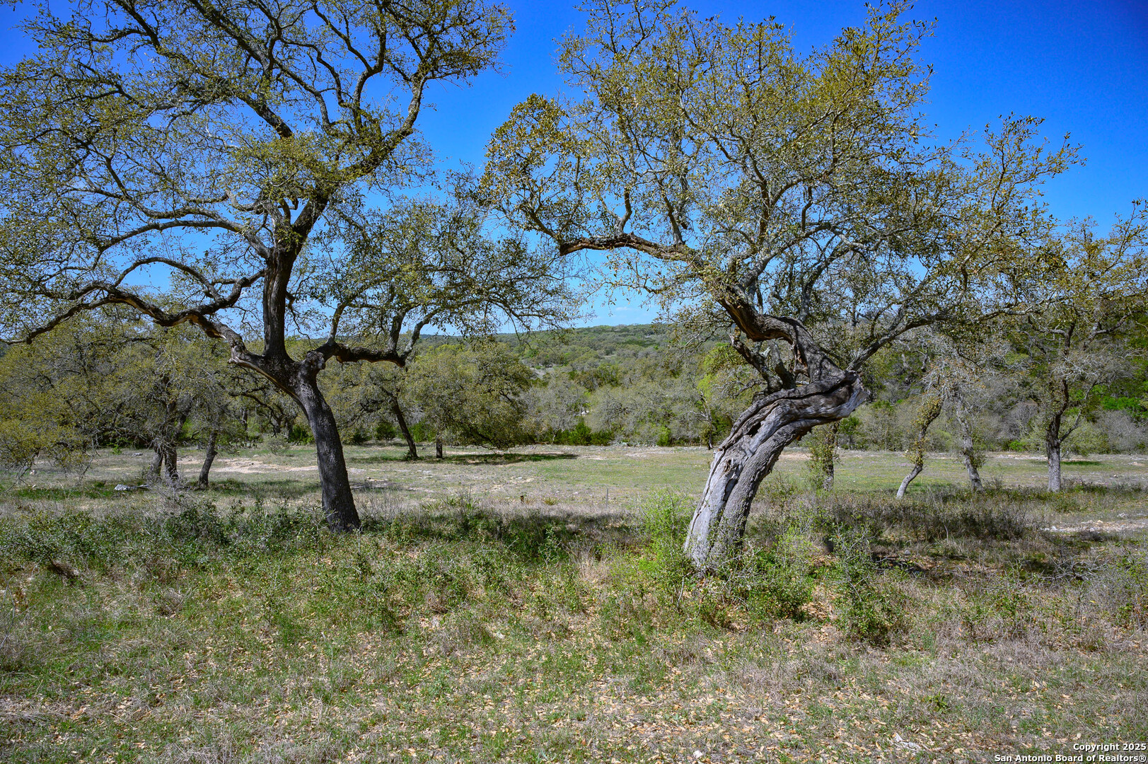 5922 Colin Ridge New Braunfels TX 78132