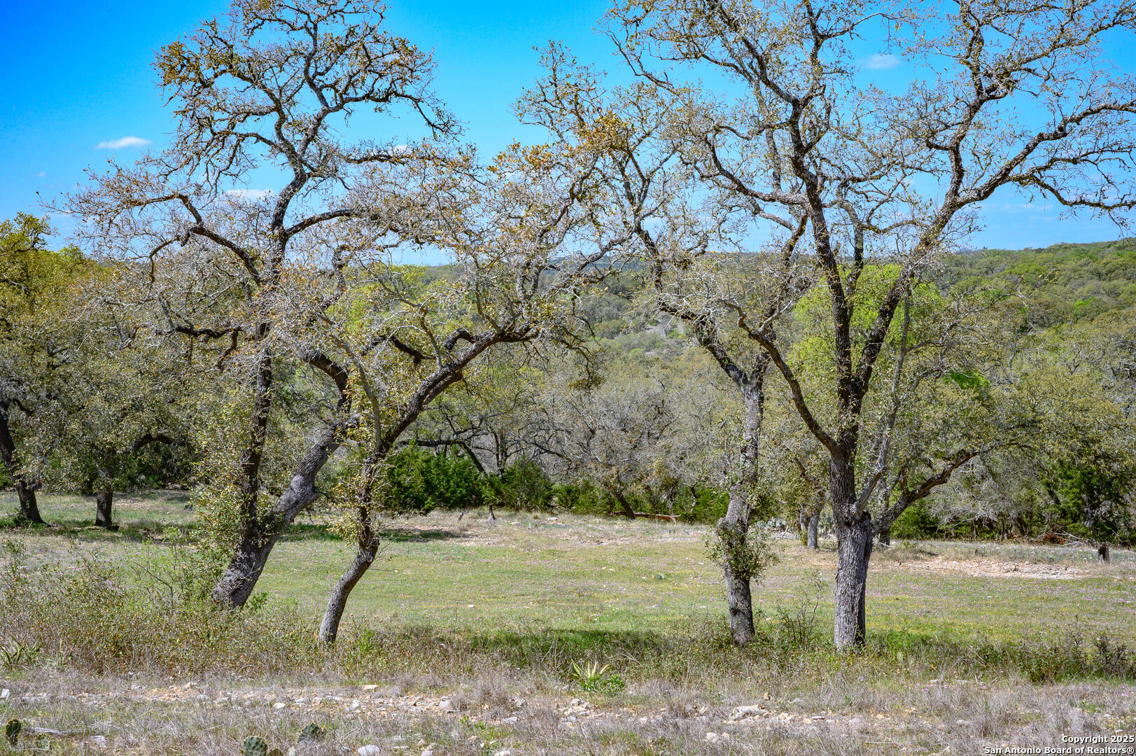 5922 Colin Ridge New Braunfels TX 78132