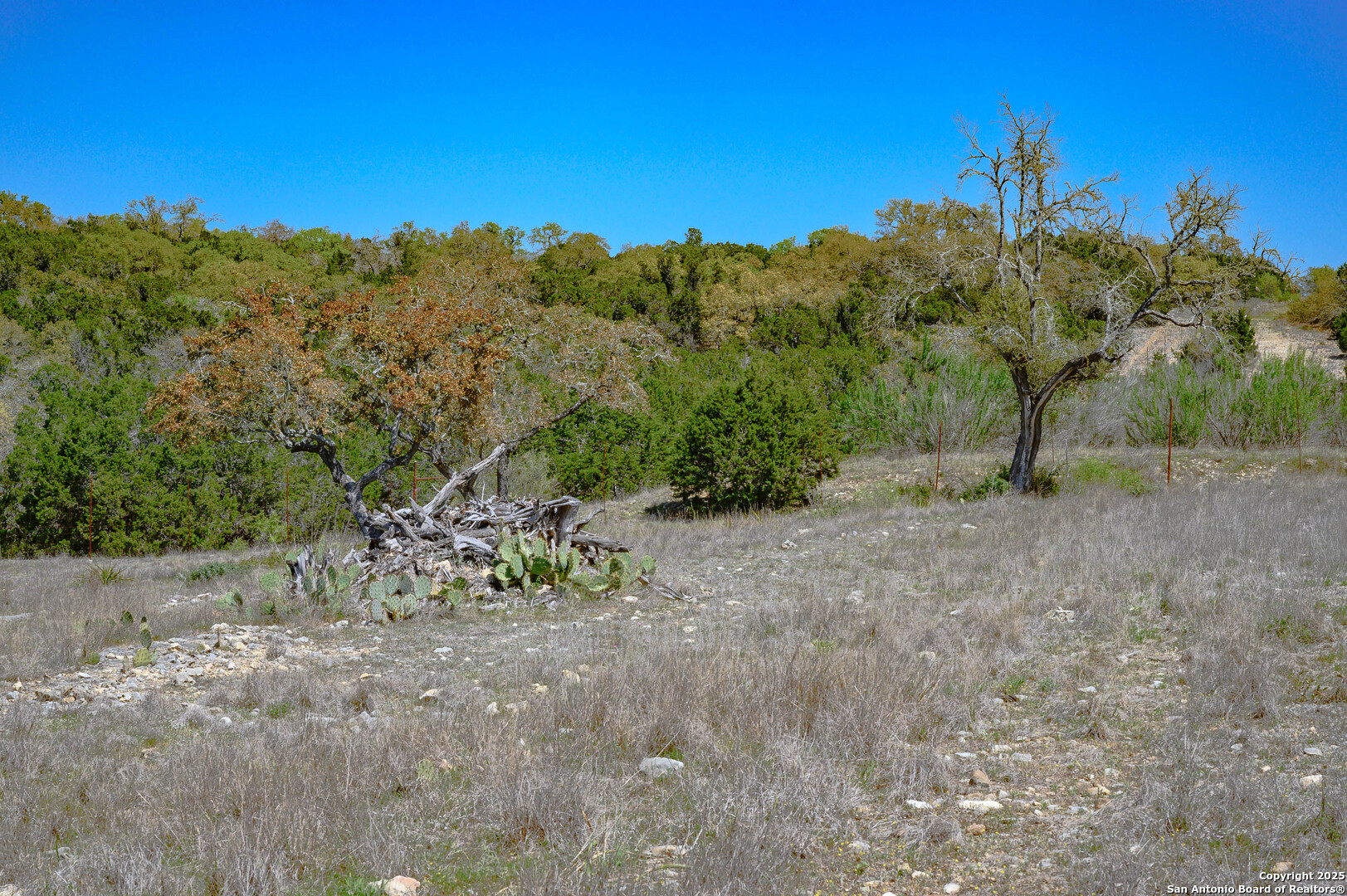 5922 Colin Ridge New Braunfels TX 78132