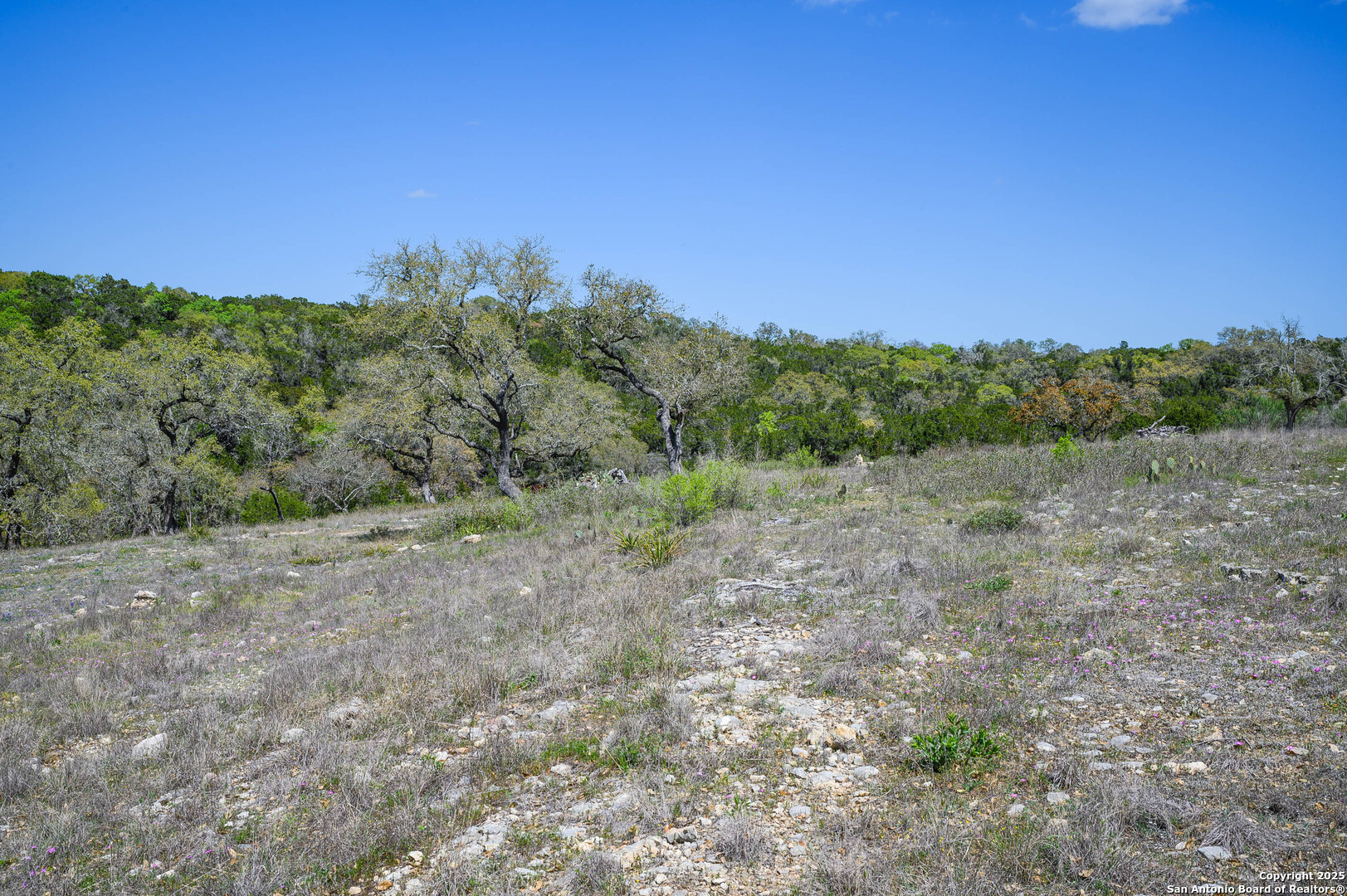 5922 Colin Ridge New Braunfels TX 78132