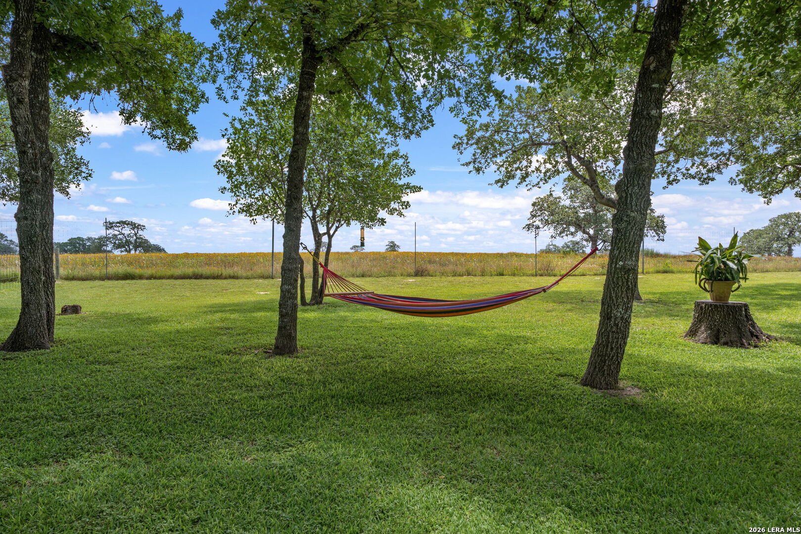 351 Rosewood Drive La Vernia TX 78121