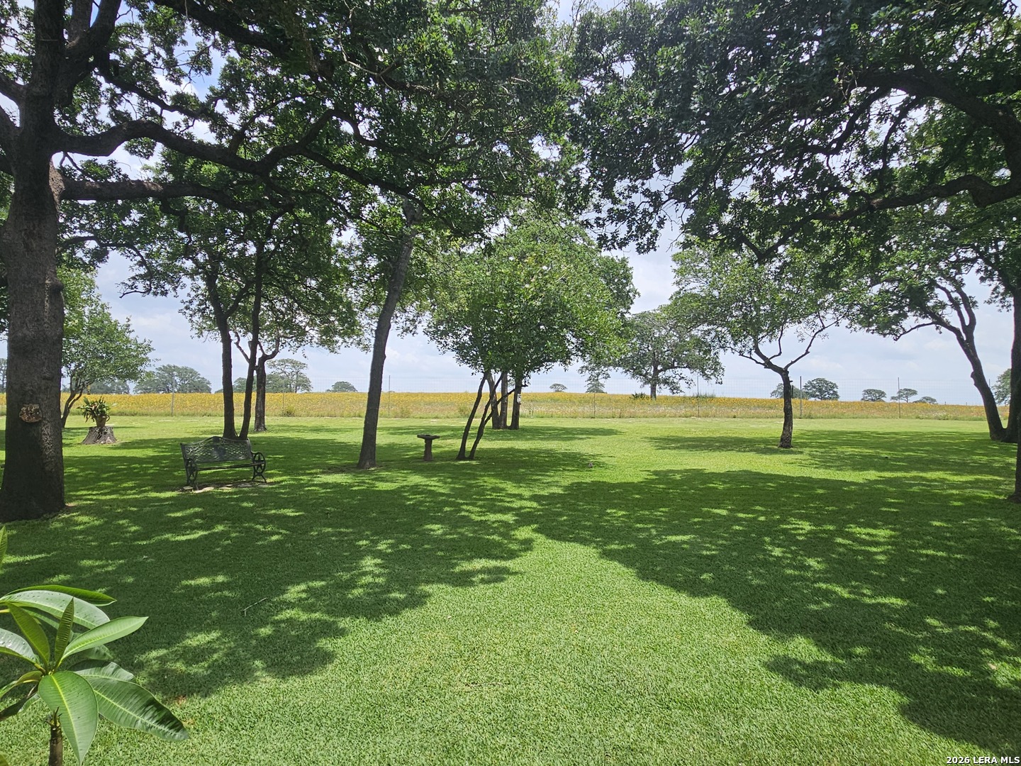 351 Rosewood Drive La Vernia TX 78121
