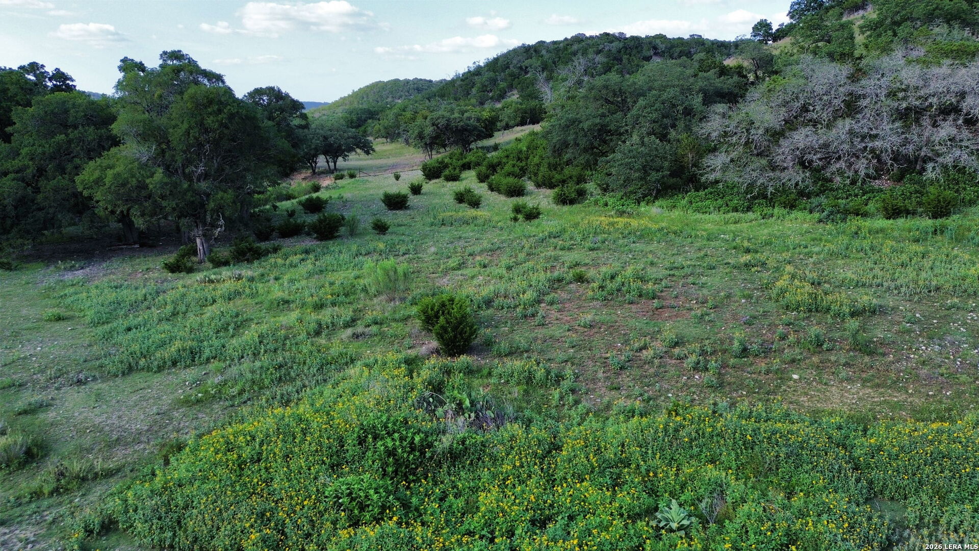 126 Madrone Ridge Comfort TX 78013