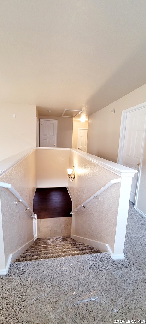6729 Crest Place Live Oak TX 78233