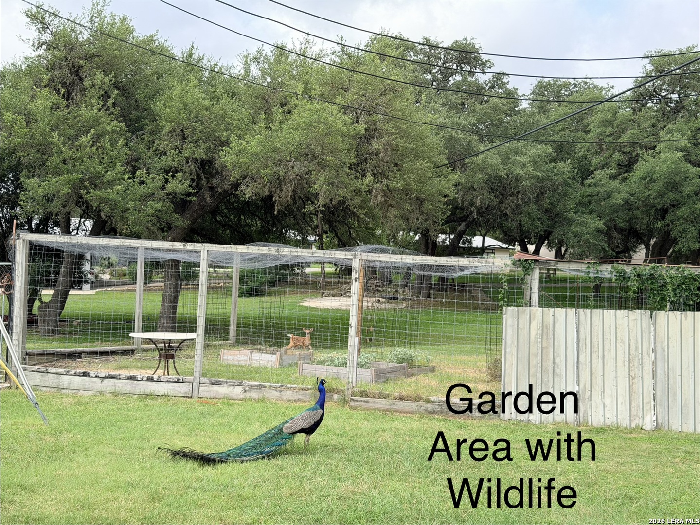 25423 Triangle Loop San Antonio TX 78255