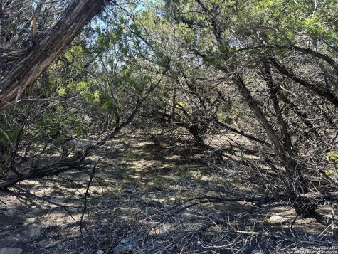 Lot 191 Antler Run Pipe Creek TX 78063