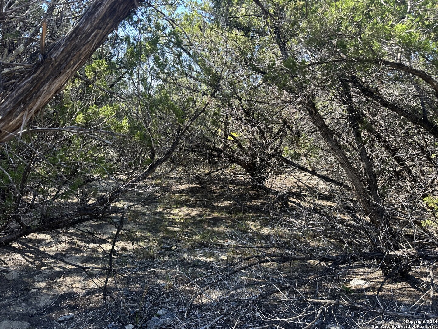 Lot 191 Antler Run Pipe Creek TX 78063