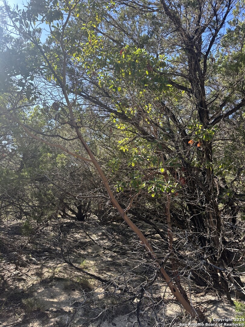 Lot 191 Antler Run Pipe Creek TX 78063