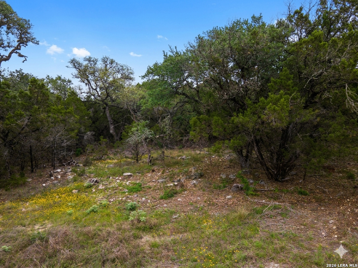24814 Creek Loop San Antonio TX 78266