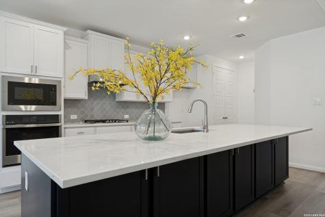 2611 Tortuga Verde San Antonio TX 78245