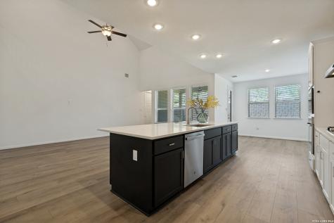2611 Tortuga Verde San Antonio TX 78245