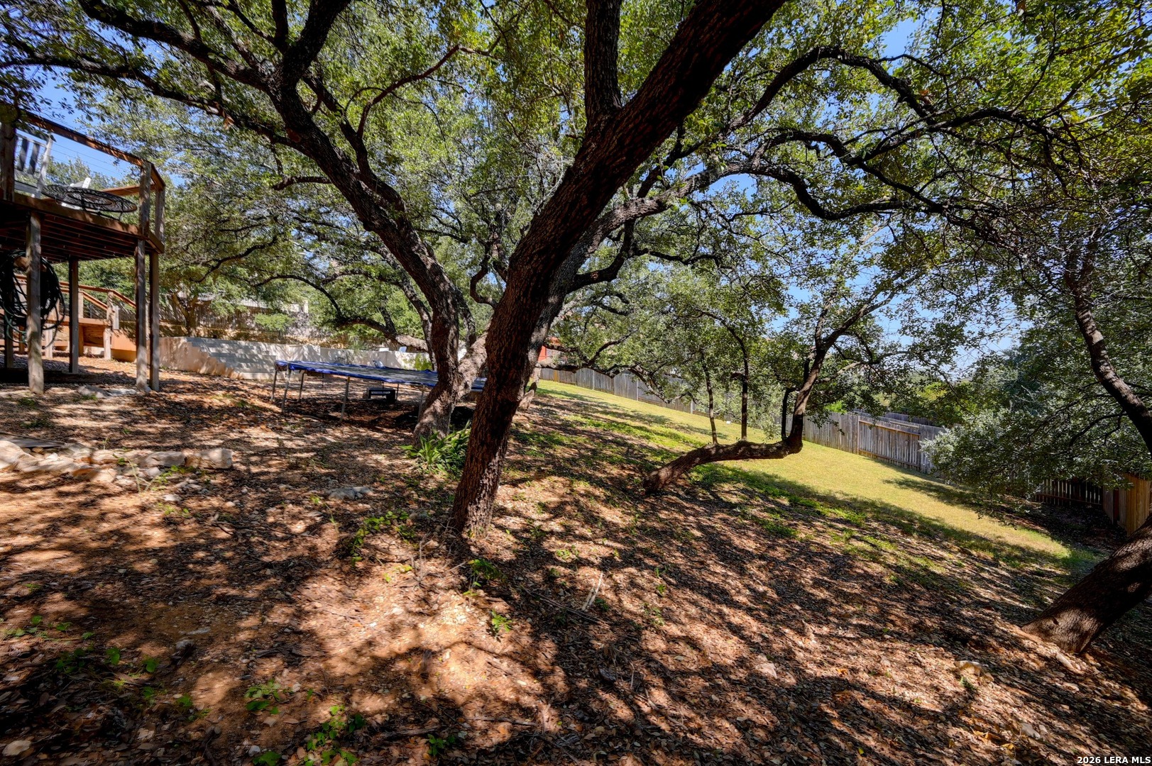 17902 Via Del Arbol San Antonio TX 78257