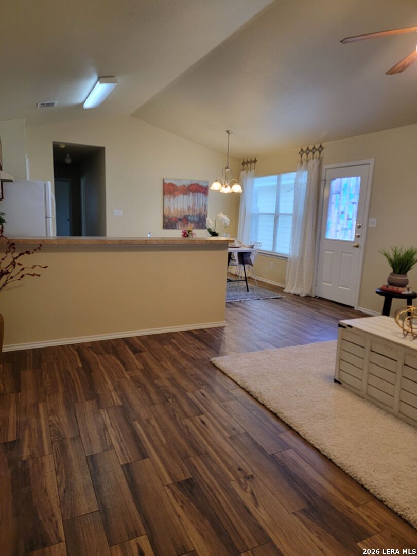 238 Bushtail New Braunfels TX 78130