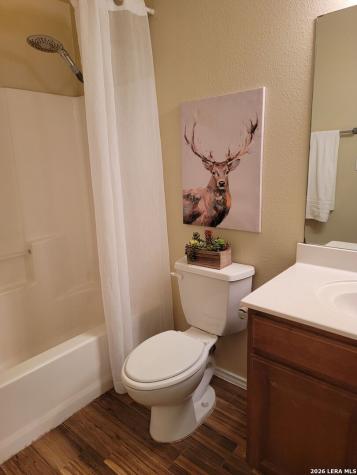 238 Bushtail New Braunfels TX 78130